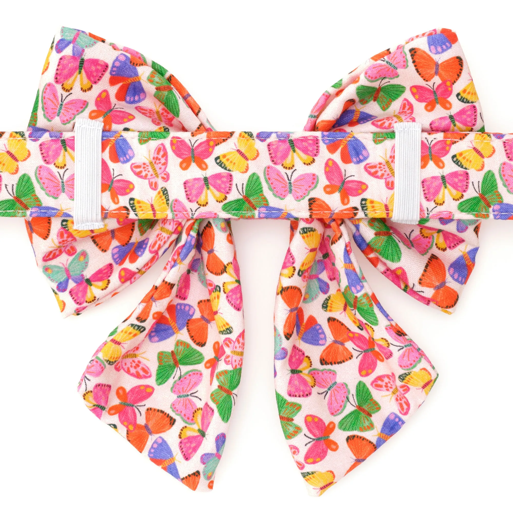 Bright Butterflies Lady Dog Bow