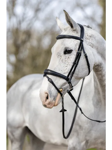 Le Mieux Competition Flash Bridle- Kudos