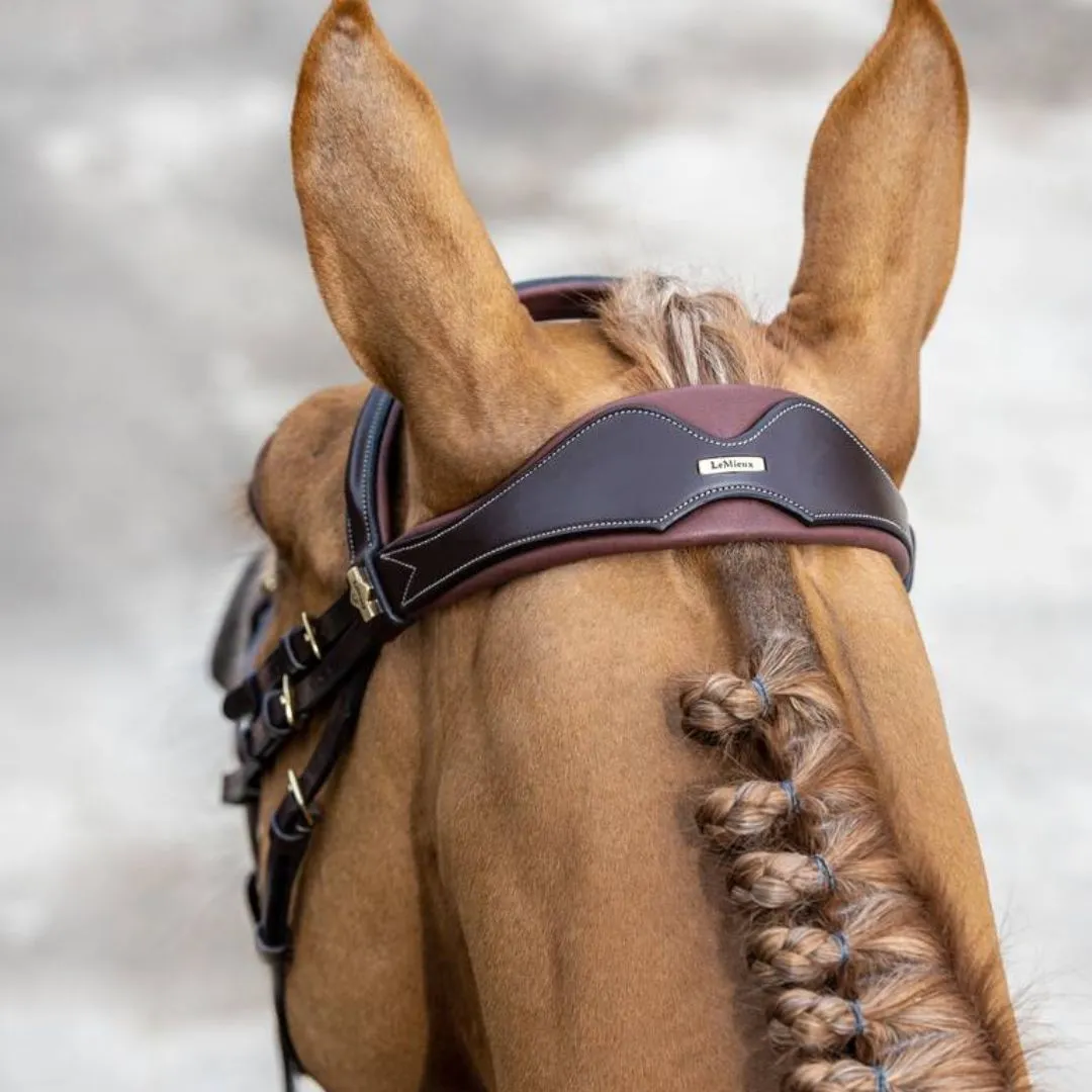 LeMieux Competition Flash Bridle