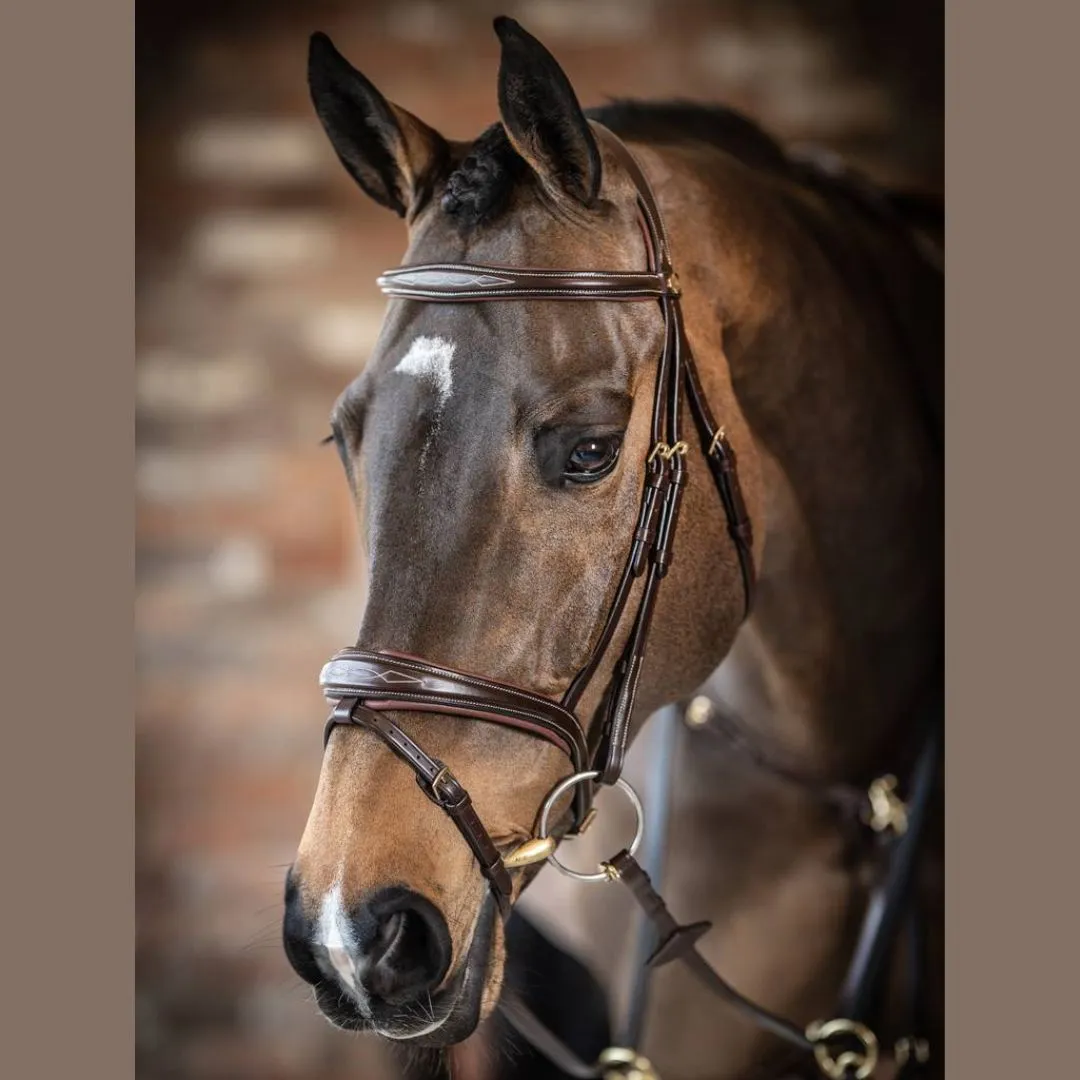 LeMieux Competition Flash Bridle