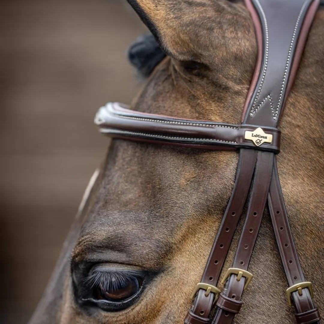 LeMieux Competition Flash Bridle